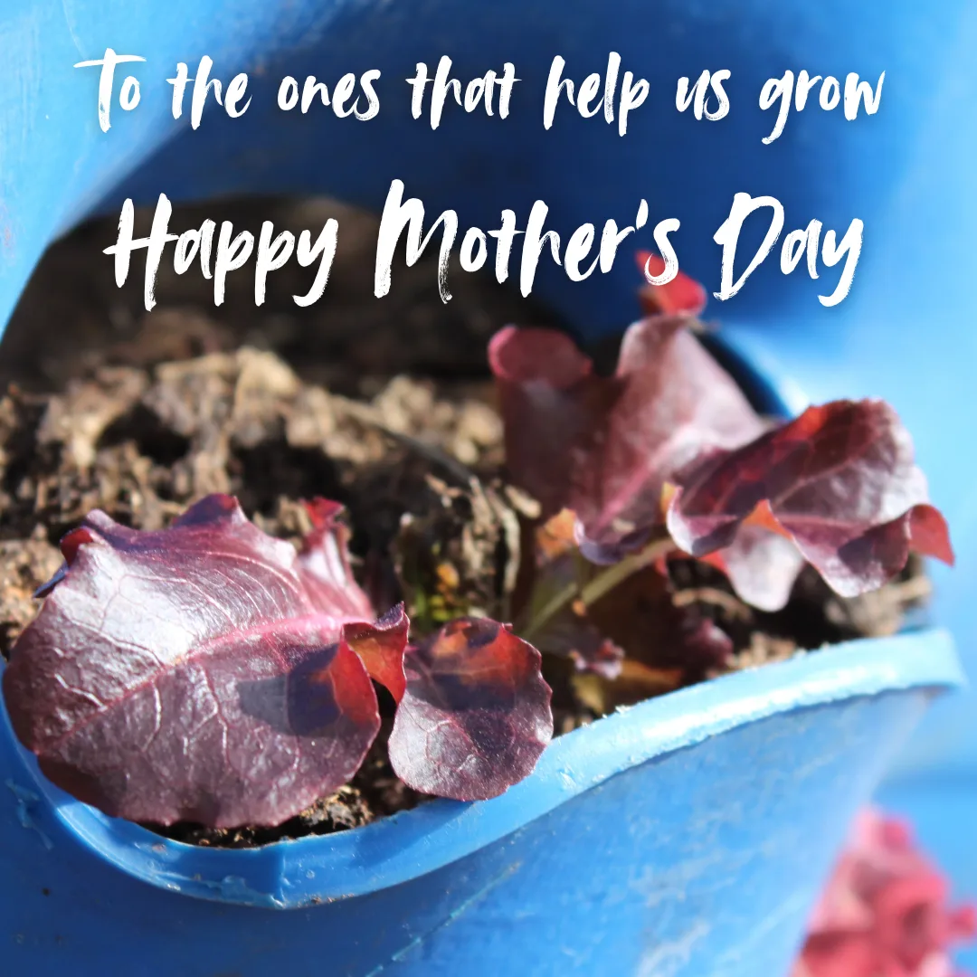 To the ones that help us grow Happy Mothers Day (1)